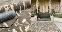 Teppich Naturitas Motiv Laliguras Teppich Naturitas Motiv Laliguras